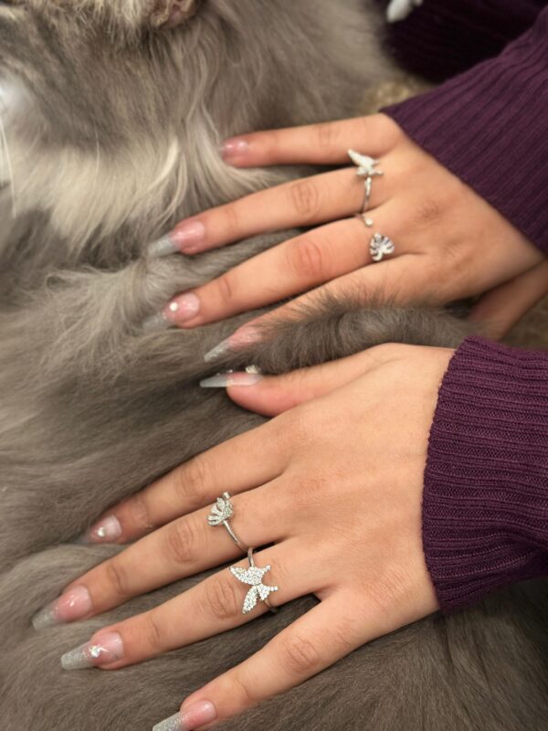 Rings - Image 2