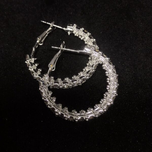 Radiant Silver Hoop Earrings